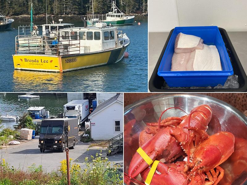 Winter Harbor Co-Op Inc