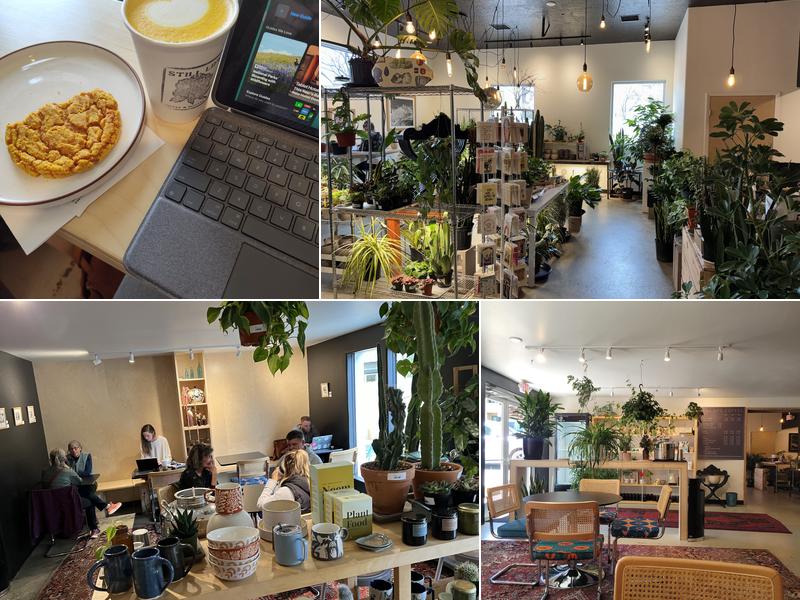 Still Life Coffee & Botanicals