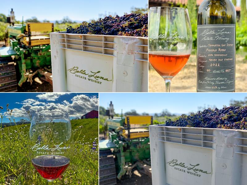 Bella Luna Estate Winery