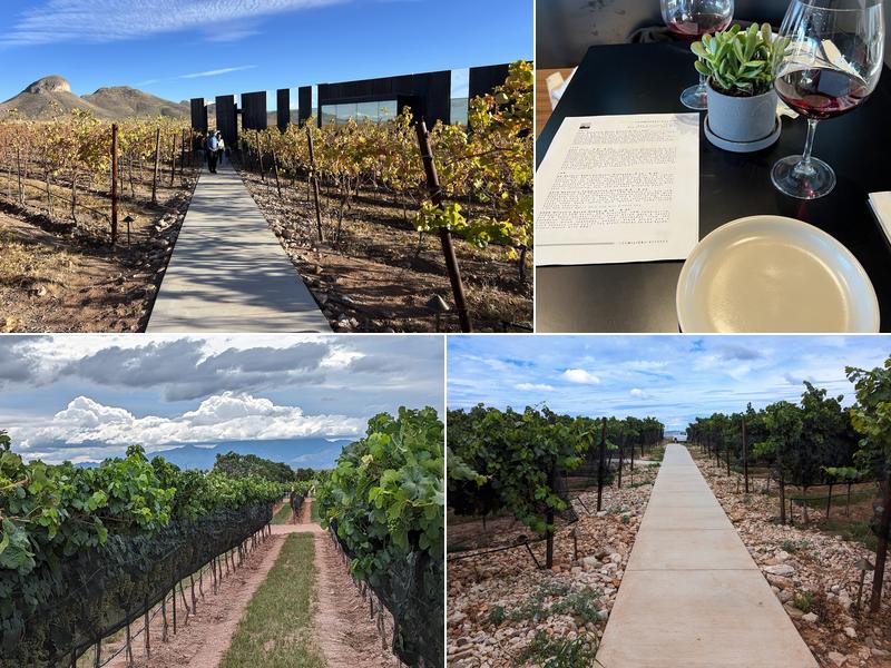 Los Milics Vineyards