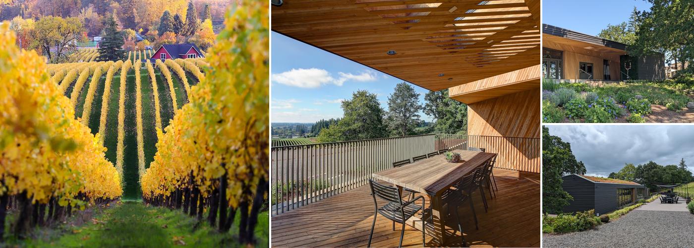 Sokol Blosser Winery