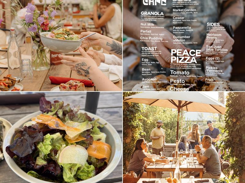 Campesino Café Menu