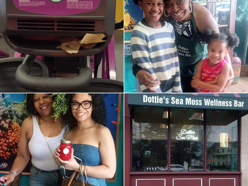 Dottie's Sea Moss Wellness Bar