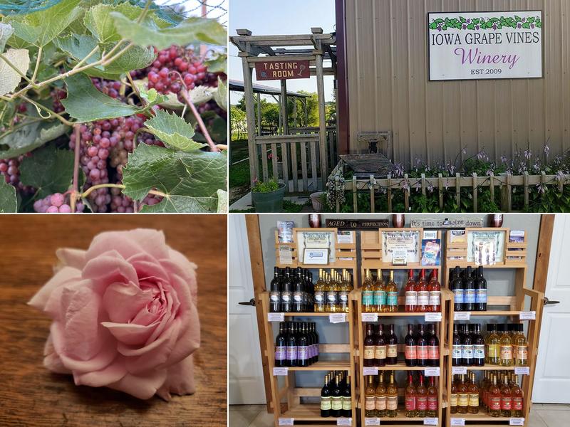 Iowa Grape Vines Winery