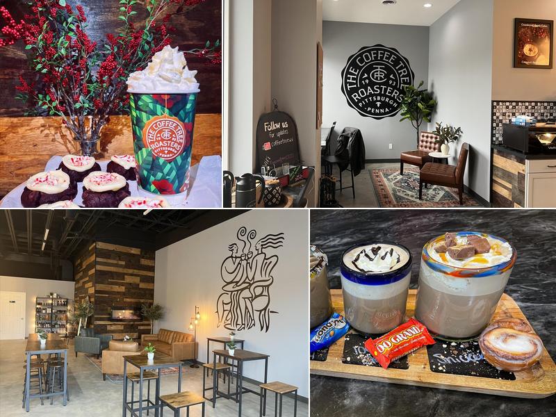 The Coffee Tree Roasters