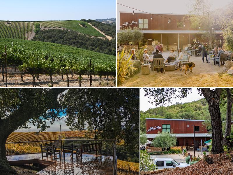Alta Colina Vineyard & Winery
