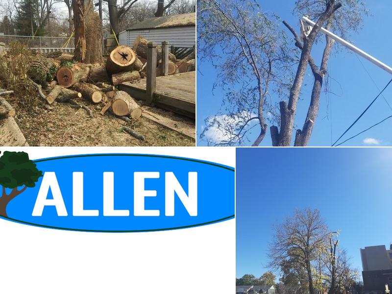 Allen Construction & Tree Service