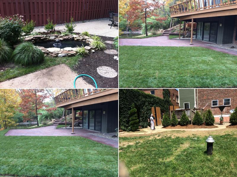 Woods landscaping services