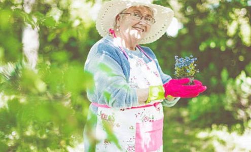 Forget Me Not Senior Services