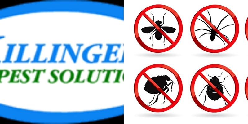 Killinger Pest Solutions