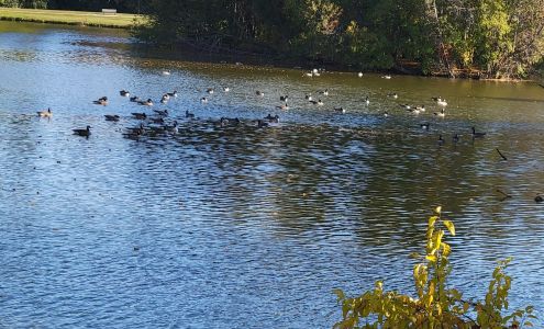 Brown Deer Boathouse Brown Deer