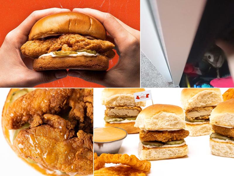 TenderFix by Noah Schnapp