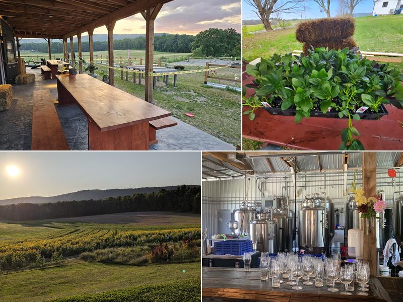 Dancing Grain Farm Brewery