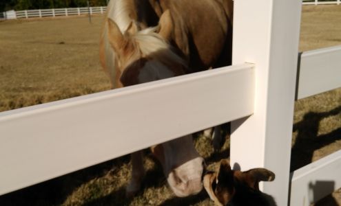 Cotton Lane Citrus Honey