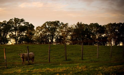 Sunset Valley Farms, LLC Broad Brook