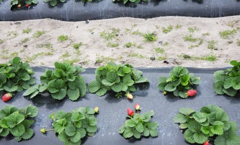 Crossroads Farm & Apiary