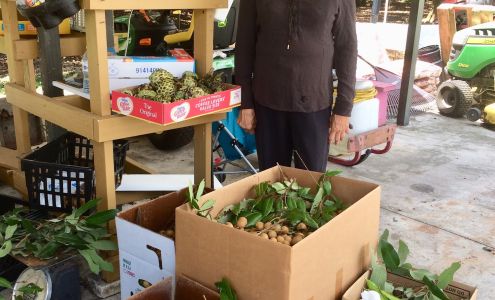 Vuon Trai Cay Diep Quach Fruit Farm