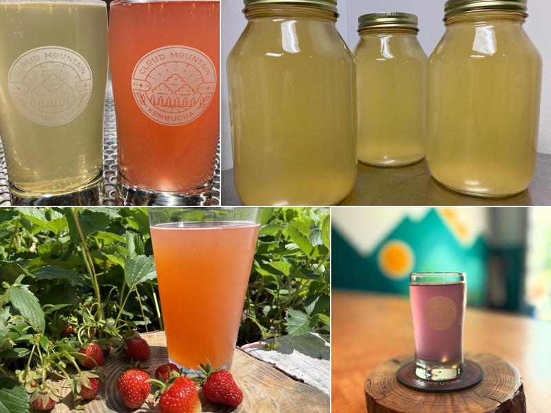 Cloud Mountain Kombucha 208 W Griggs St Suite 102, Urbana