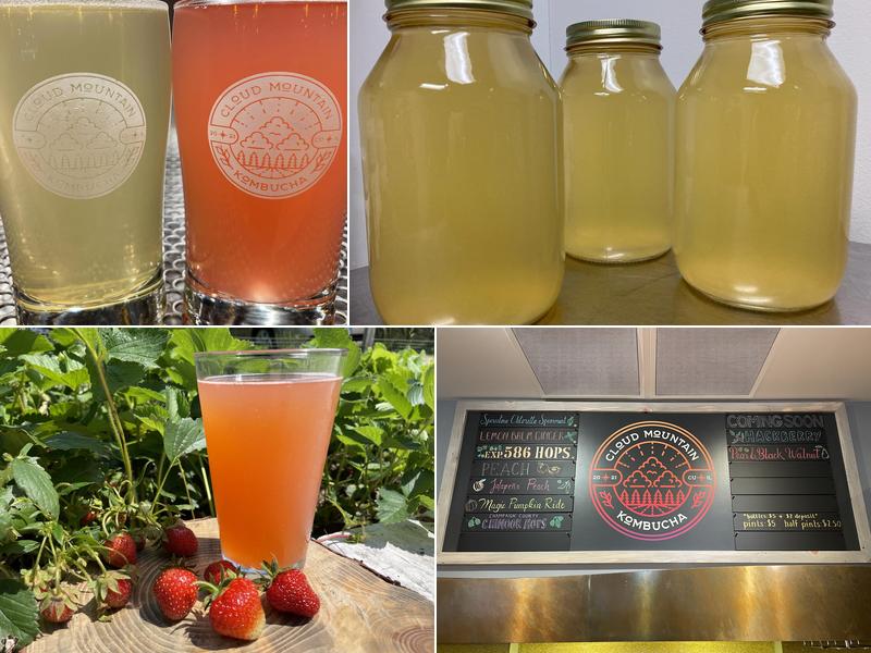 Cloud Mountain Kombucha 208 W Griggs St Suite 102, Urbana