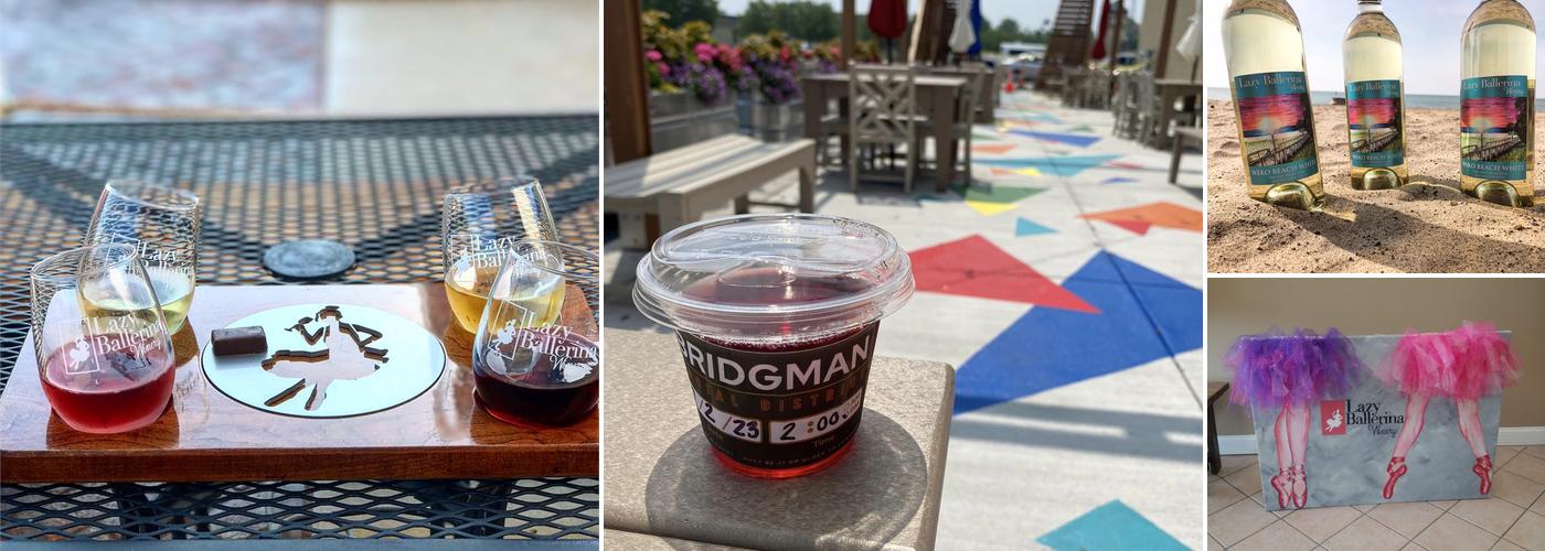 Lazy Ballerina Winery Bridgman Tasting Room