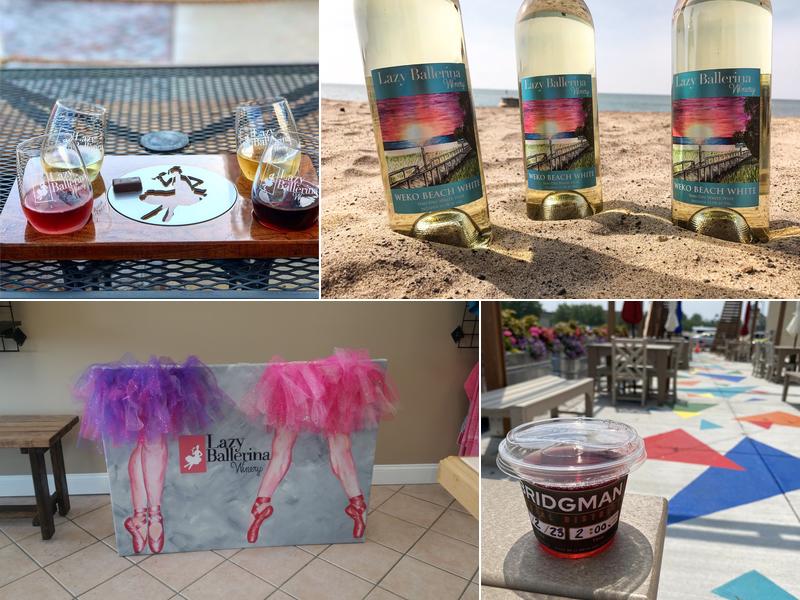 Lazy Ballerina Winery Bridgman Tasting Room