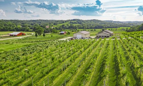 Madison County Winery Saint Charles