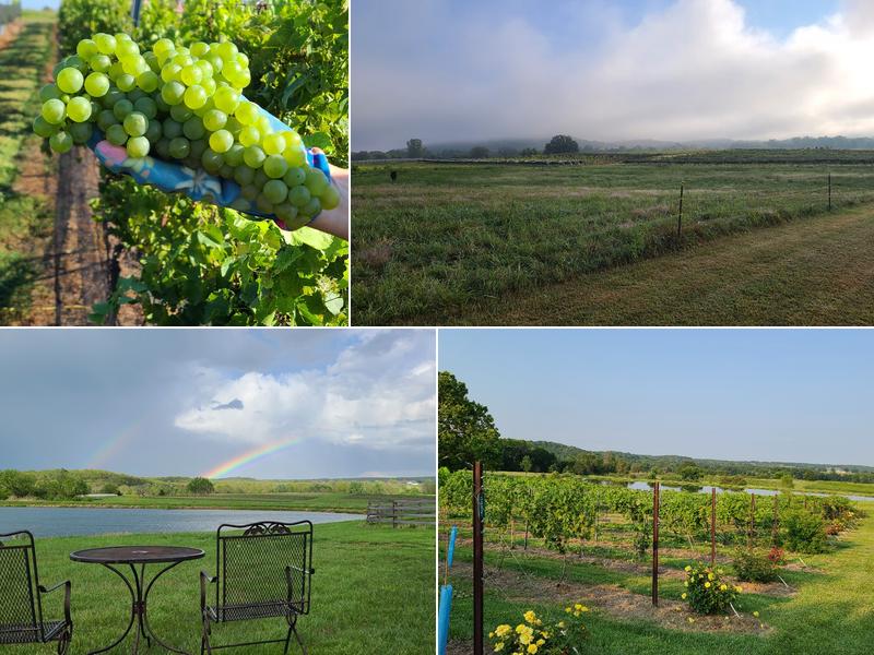 Crescent Moon Winery