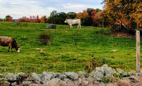 Austin Brothers Valley Farm