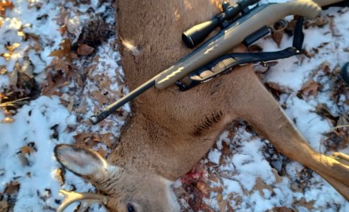 Carl's Deer Processing