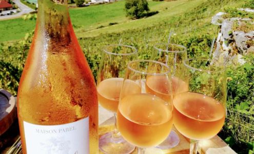 Provence Wine Imports, Inc Plymouth