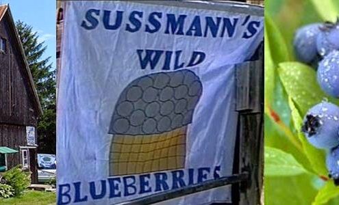 Sussmann's Wild Blueberries Granville