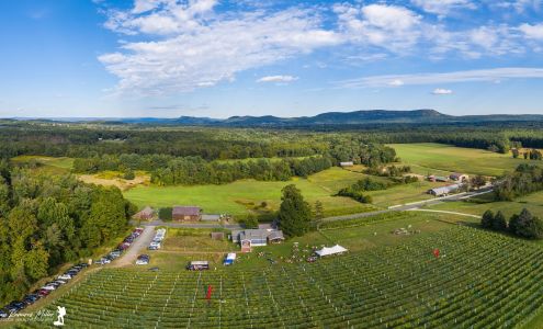 Glendale Ridge Vineyard Southampton