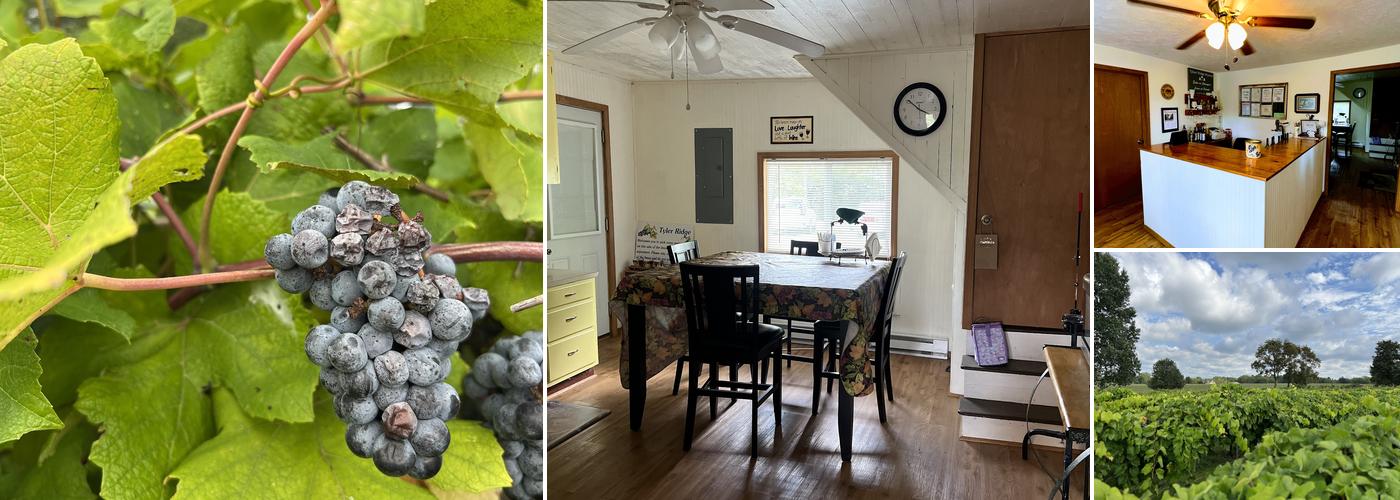 Tyler Ridge Vineyard Winery