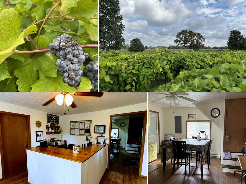 Tyler Ridge Vineyard Winery