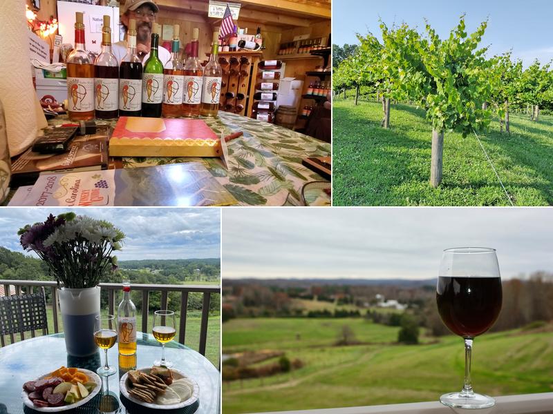 Native Son Vineyard 1511 Mamie May Rd, Franklinville