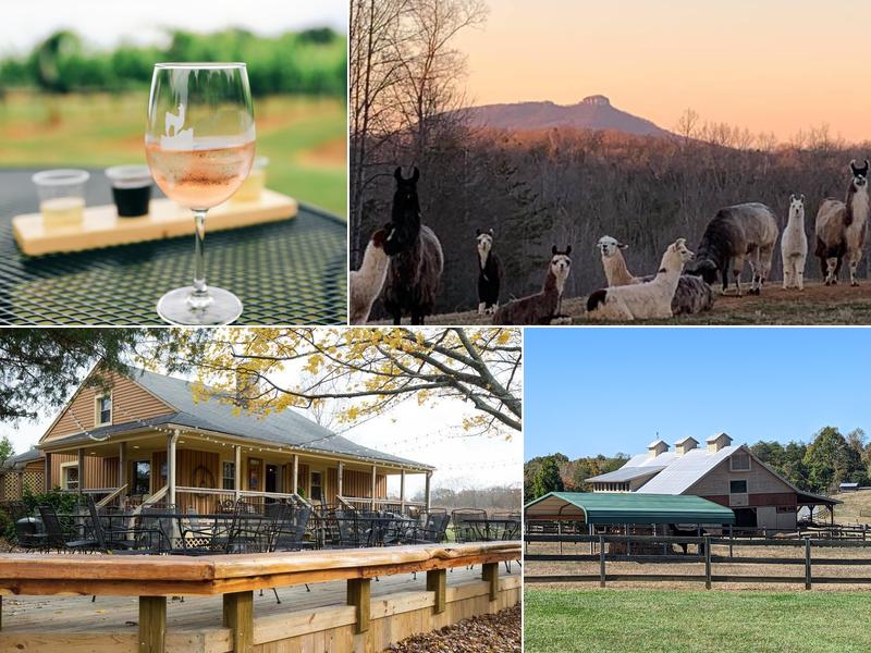 Divine Llama Vineyards