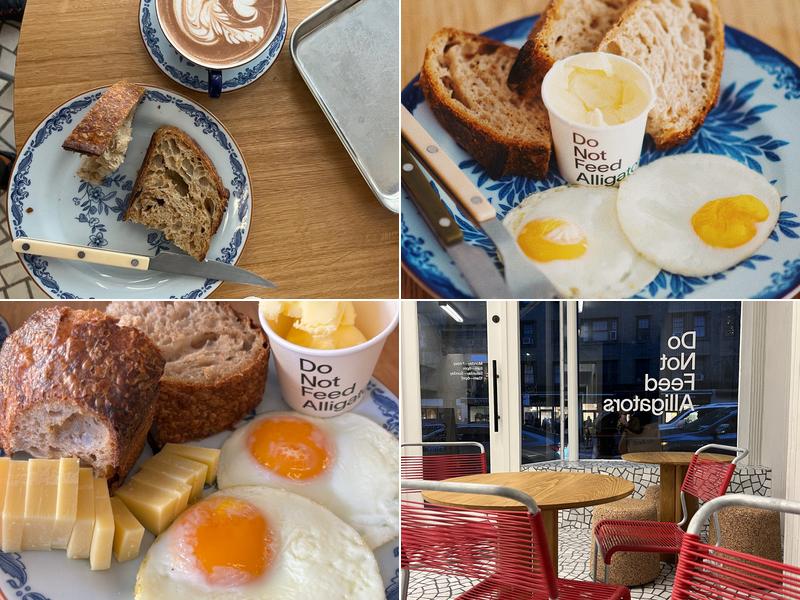 Do Not Feed Alligators