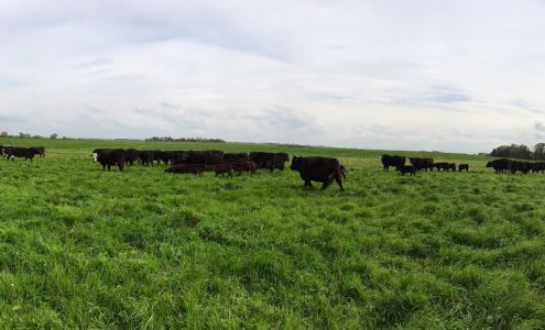 Range West Grass Fed Beef Marquette