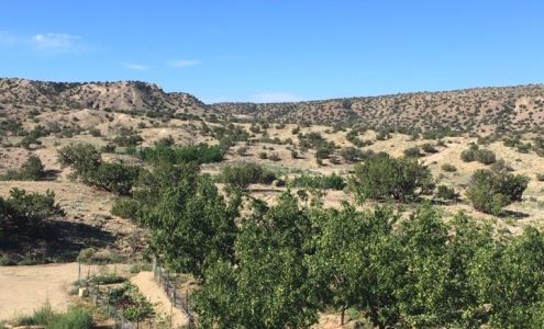 SunStar Herbs Los Cerrillos