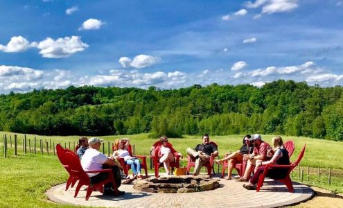 Black Bear Vineyard Salisbury