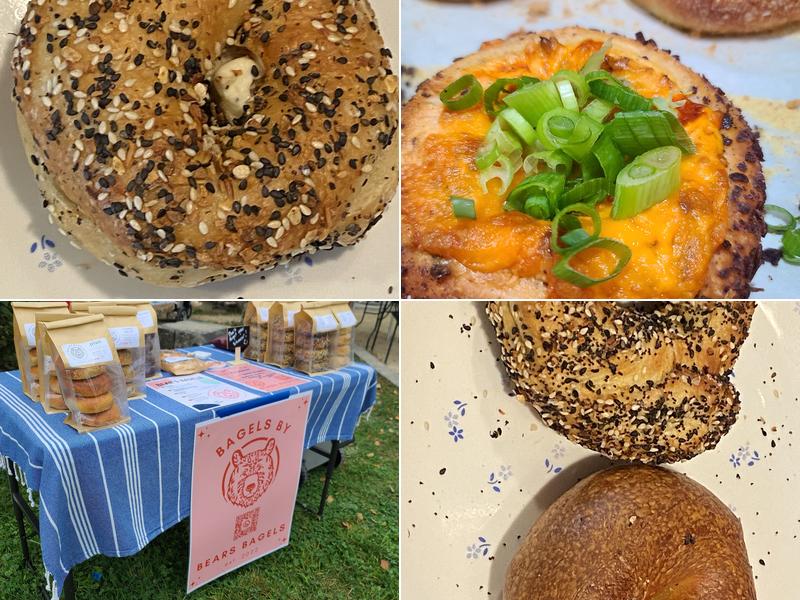 Bears Bagels