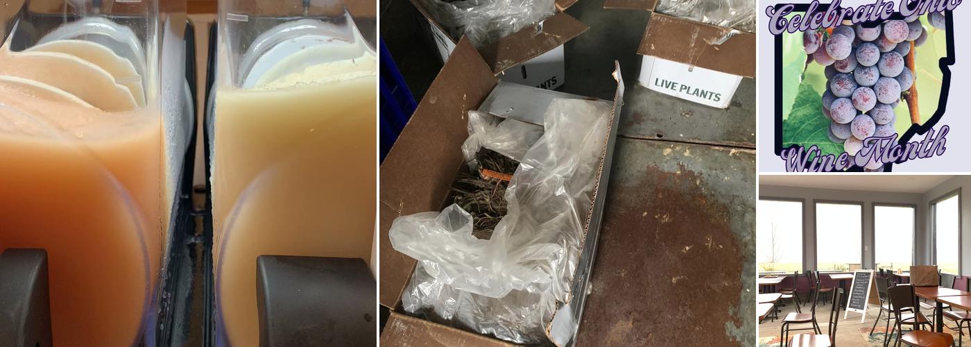 Folck Family Farm Folck Winery