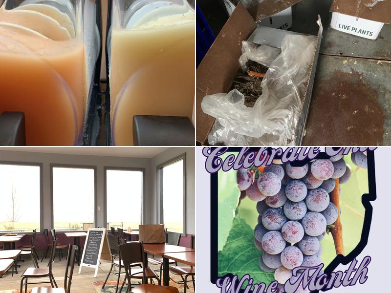 Folck Family Farm Folck Winery