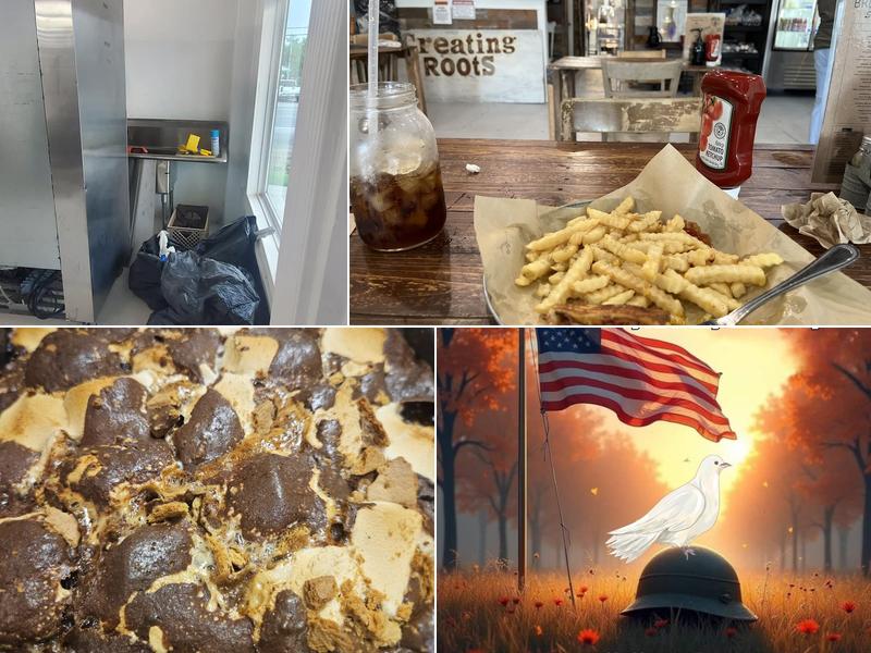 Creating Roots LLC 106 W James St, Blue Ridge