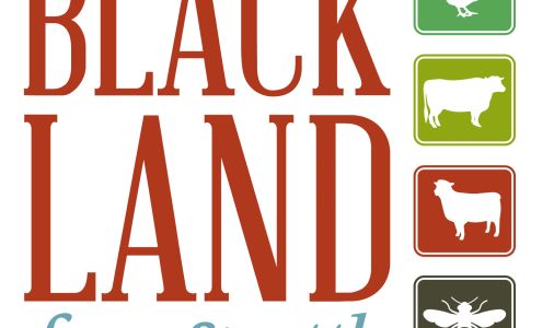 Blackland Farm & Cattle Riesel