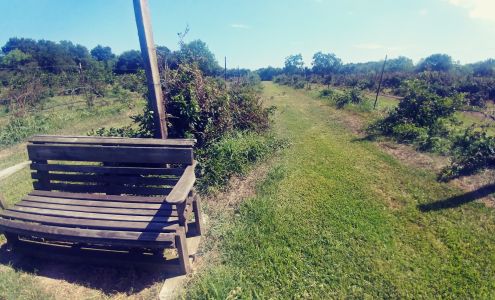 Fruits 'n Such Orchard