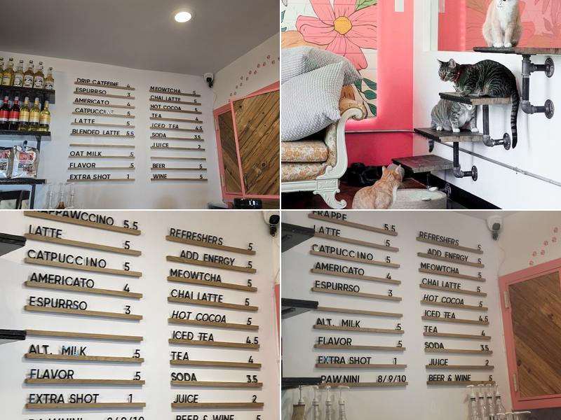 don't stress meowt - Cat Cafe Menu