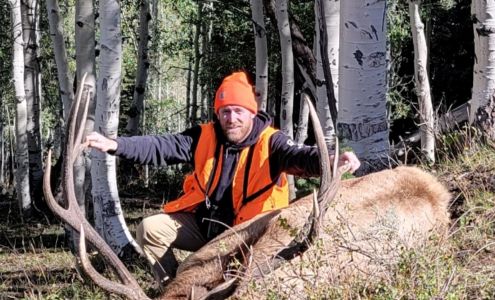 Meiers Game Processing