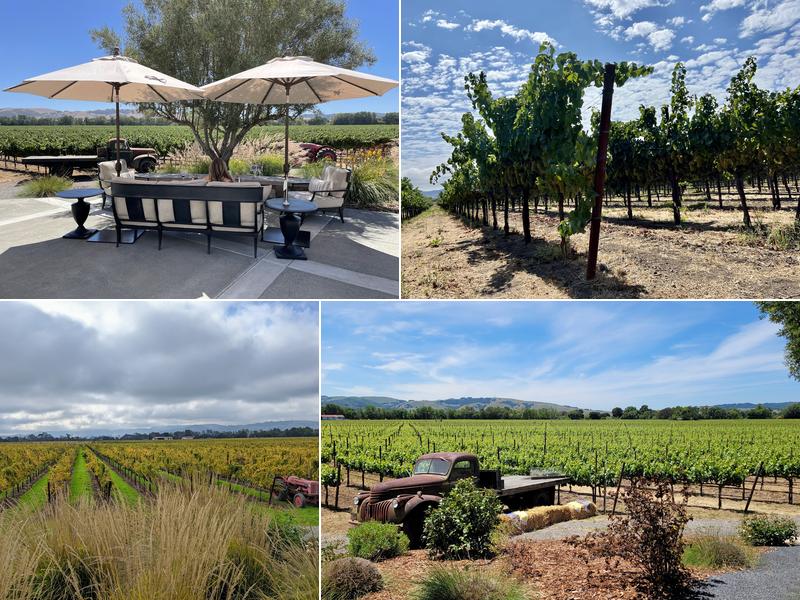 Sangiacomo Vineyards