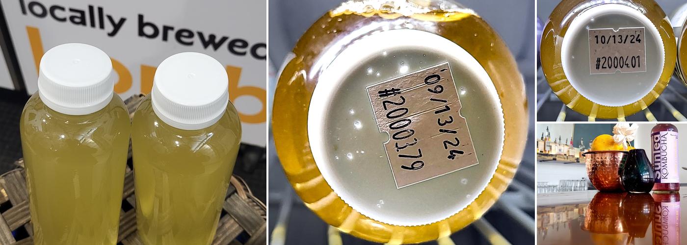 Süntea Kombucha (Formally sünnte kombucha)